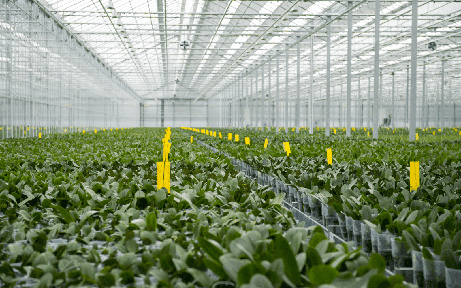 FarmersOrigin technical guides and resources