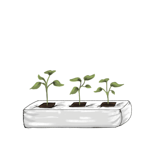 Private-label coir grow bags